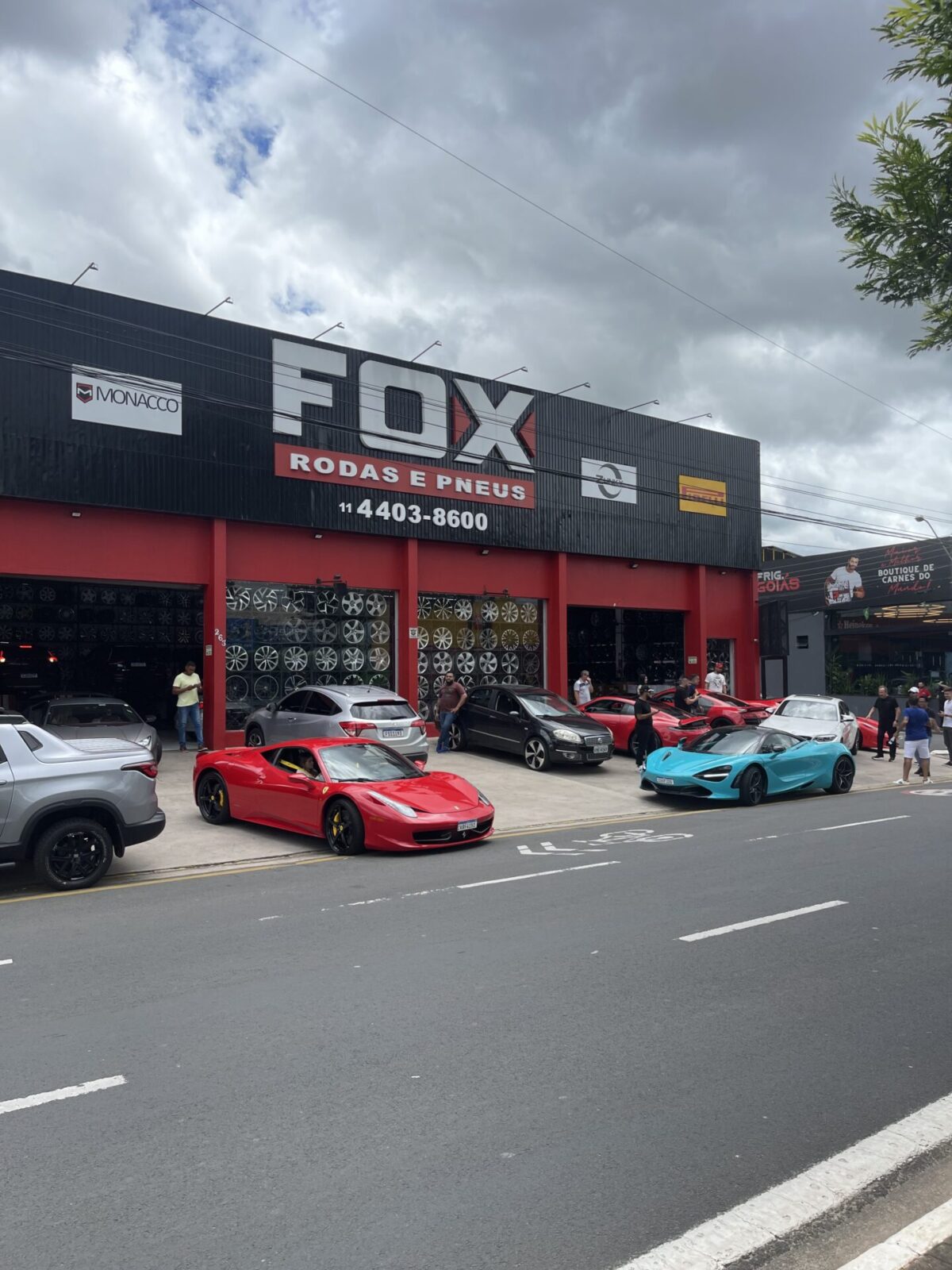 Fox Rodas